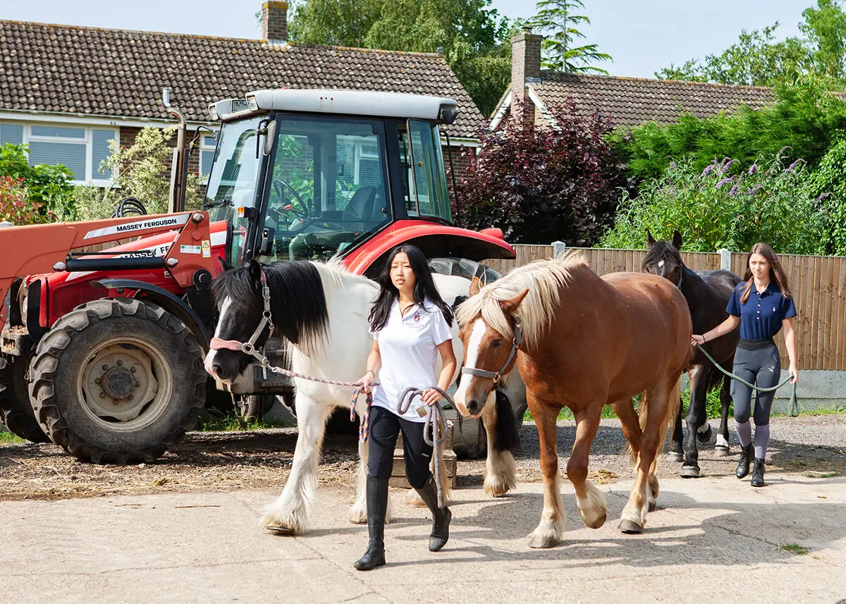 The Farm is one of the most prized assets at Kent College Canterbury