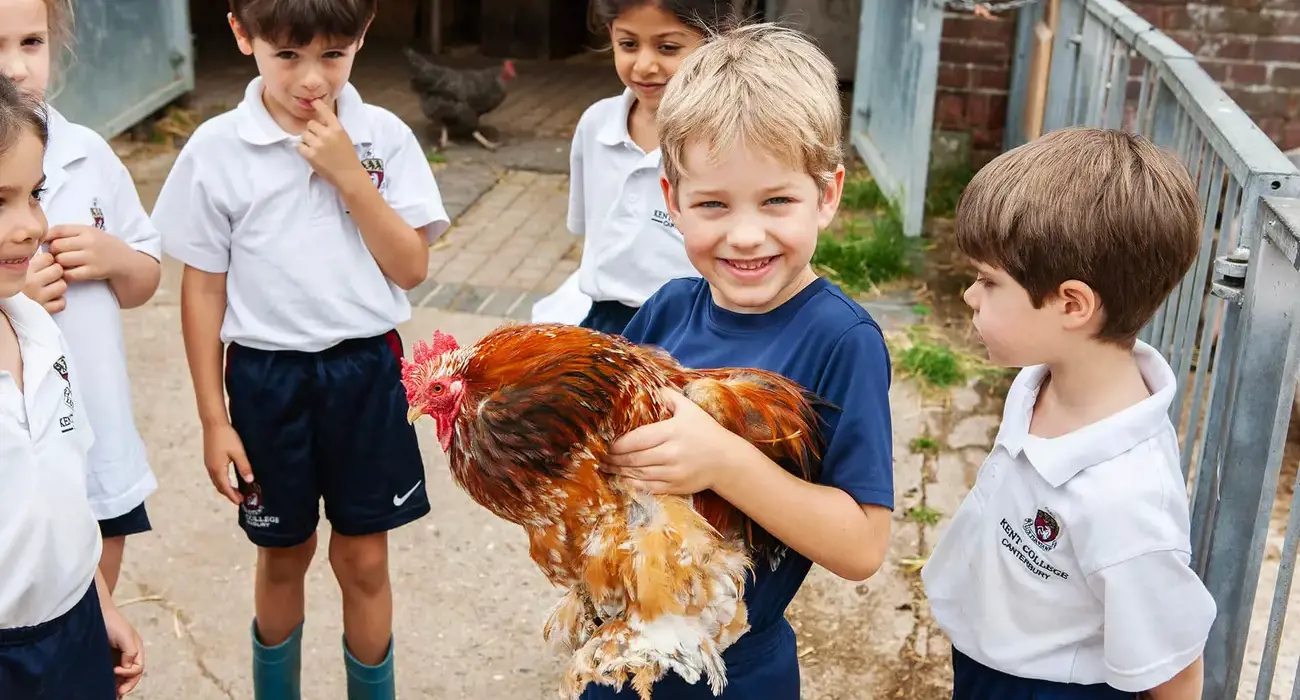 Junior school pupil holding a chicken at the farm